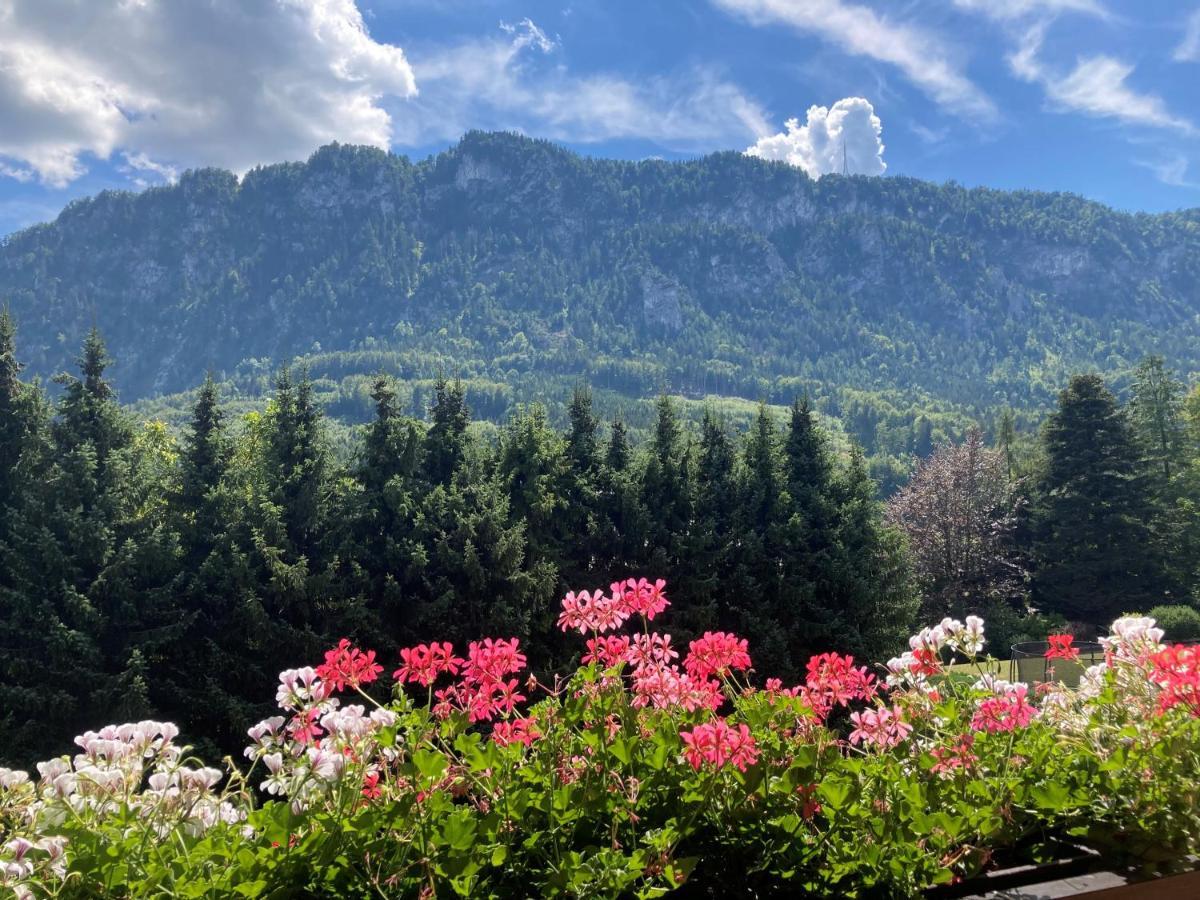 Ferienwohnung Mit Seeblick, Unterach Am Attersse اونتراتش إم أترسي المظهر الخارجي الصورة